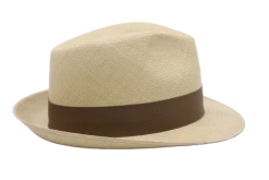 Vintimilla Trilby New Panama Stone