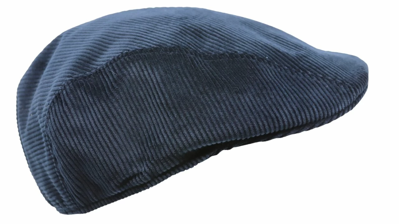 Jos Van Dijck Ivy Pet Split Corduroy Navy 4 Jos Van Dijck Ivy Pet Split Corduroy Navy - Afbeelding 2