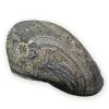 Wigens Ivy Modern Flat Cap Cotton Wool Paisley Olive Blue -Hoeden Winkel 1926929832